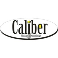 Caliber Assurance Services logo - Similar company to Harsh Gupta