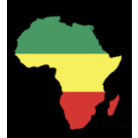 Centre for Black Studies in Education logo - Similar company to Black Student Success Centre (Bssc)