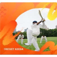 Cricket Keeda logo - Similar company to Cricket Tikes