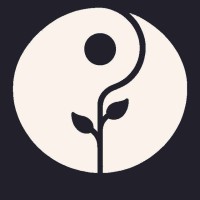 NaoX logo - Similar company to Naox Technologies