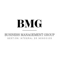 Business Management Group logo - Similar company to We Solve