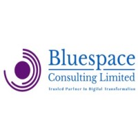 Bluespace Consulting logo - Similar company to Celestial Crafters