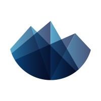 Cerro Management Services B.V. logo - Similar company to Infotune Ict B.V.