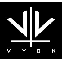 VYBN logo - Similar company to Modulus