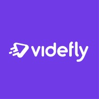 Videfly logo - Similar company to Beyond The Class