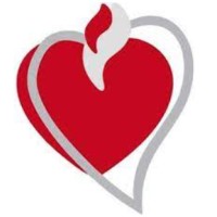 Colegio Divino Corazon logo - Similar company to Fedelta Salud