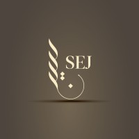 Sejofficial logo - Similar company to Sync It Up