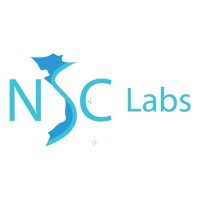 NSC Labs - Vietnam's Premier Blockchain Development Company logo - Similar company to Nsc Software - Premier Software Development Company