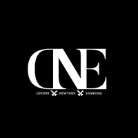 DNE Club & Union logo - Similar company to Stuo