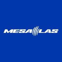 MESALAS logo - Similar company to Pimte Information Technology Services Ltd. Co.