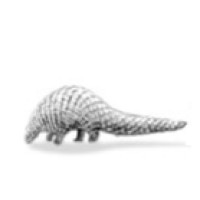 Pangolin Investment Management logo - Similar company to Levitise - Holistic Lifestyle & Fitness Studio