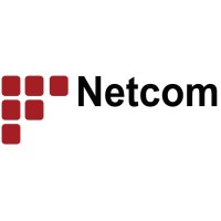 Netcom PaySystem logo - Similar company to Paytech Innovations