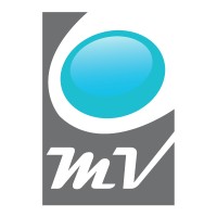 Media Vision WLL logo - Similar company to Mbdg - My Business Development Group