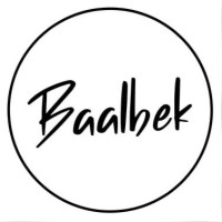Baalbek Constructora logo - Similar company to Arkand-Arkibit.Com