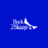 Back2Sleep logo - Similar company to Back To Sleep