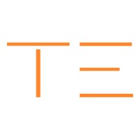 The Executive logo - Similar company to Leadership Advisors Group (Lead)