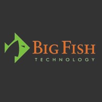 Big Fish Technology logo - Similar company to Connect Technologies