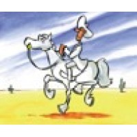 The White Cowboy Consultancy