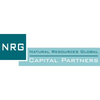 NRG Capital Partners logo - Similar company to Convolution Capital