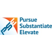 PSE INFOTECH logo - Similar company to Project Cybertech