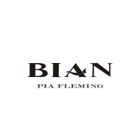 Bian logo - Similar company to Bian Services Gmbh