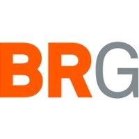 BRG logo - Similar company to Vizbo