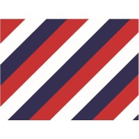 ZIMOLONG, LLC logo - Similar company to Page50 Marketing & Media