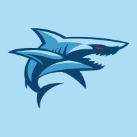 PUSAT Takımı logo - Similar company to Pusat Su Alti Teknoloji̇leri̇