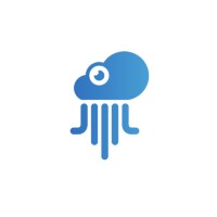 Cloumize logo - Similar company to Deejmype