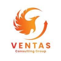 Ventas Consulting Group logo - Similar company to Jake'S Unlimited