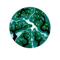 CANOPY Coaching and Consulting logo - Similar company to Tulsi Strategies