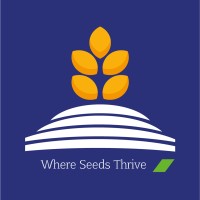 BASE logo - Similar company to Acitiel