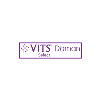 VITS Select - Daman logo - Similar company to Bell Tower Corporation