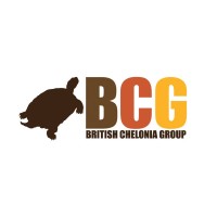 British Chelonia Group logo - Similar company to Indian Ocean Tortoise Alliance