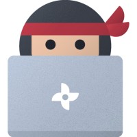 Zdalny Ninja logo - Similar company to Remote Sensei