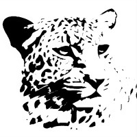 Ingwe Group logo - Similar company to Adamant International
