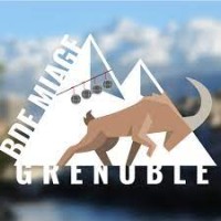 BMG - BDE MIAGE Grenoble logo - Similar company to Miage Connection