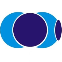 Leverpay logo - Similar company to Scadea Software Solutions
