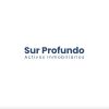 Sur Profundo logo - Similar company to Somos Rentable