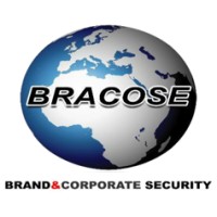 BRACOSE logo - Similar company to Scientific Intelligence Team 1 Sl