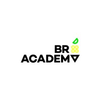 BR Academy logo - Similar company to Edupower Academy