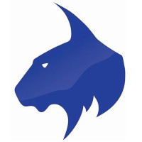 Blue Lynx | Technology Solutions logo - Similar company to Digix Technologies