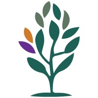 Trillion Trees Australia logo - Similar company to Gondwana Link