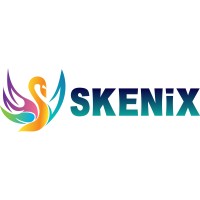 Skenix Infotech logo - Similar company to Aimaces