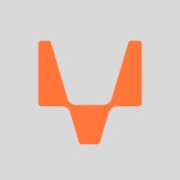Digital Fox charity fund logo - Similar company to Largo Solutions Group