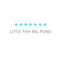 Little Fish, Big Pond logo - Similar company to Davis Technology Management