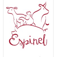 DISTRIBUCIONES ESPINEL MARTIN SL logo - Similar company to Nmcarquitecturatecnica