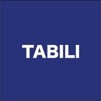 tabili logo - Similar company to Talon Cyber Defense