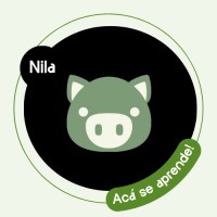 Nila logo - Similar company to Conversely