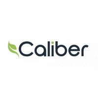 Caliber Sales & Marketing (CSM) logo - Similar company to The Zidian Group